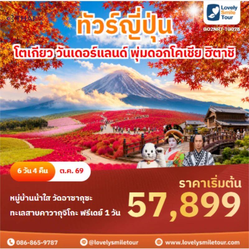 รหัสทัวร์ GO2NRT-TG078 ทัวร์ญี่ปุ่น โตเกียว วันเดอร์แลนด์ พุ่มดอกโคเชีย ฮิตาชิ