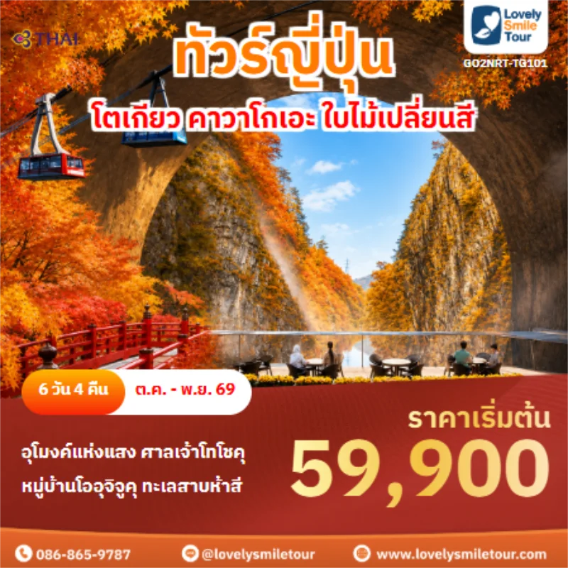 รหัสทัวร์ GO2NRT-TG101 ทัวร์ญี่ปุ่น โตเกียว คาวาโกเอะ ใบไม้เปลี่ยนสี