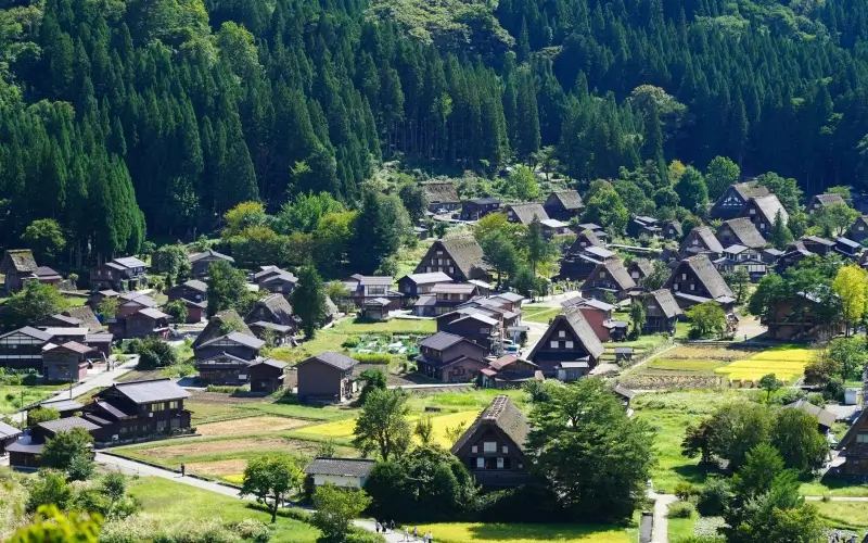 รีวิว Shirakawa-go หมู่บ้านมรดกโลกกลางหุบเขา เสน่ห์ญี่ปุ่นดั้งเดิมที่ต้องไปสักครั้ง 10 วิวของหมู่บ้านชิราคาวาโกะในช่วงฤดูร้อน