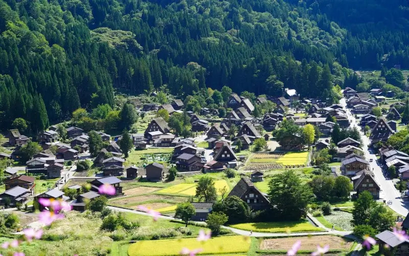 รีวิว Shirakawa-go หมู่บ้านมรดกโลกกลางหุบเขา เสน่ห์ญี่ปุ่นดั้งเดิมที่ต้องไปสักครั้ง 2 หมู่บ้านชิราคาวาโกะ (Shirakawa-go)