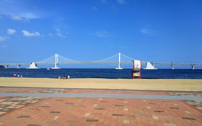 10 ที่เที่ยวปูซาน เมืองตากอากาศเกาหลี ถ่ายรูปสวยเป๊ะ อัปเดต 2569 5 ชายหาดควางอันลี หนึ่งในที่เที่ยวปูซานยอดนิยม โดดเด่นด้วยวิวสะพานกวางอันและบรรยากาศริมทะเลยามค่ำคืนที่สวยงาม