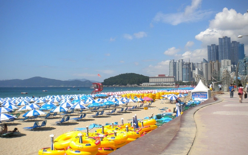 10 ที่เที่ยวปูซาน เมืองตากอากาศเกาหลี ถ่ายรูปสวยเป๊ะ อัปเดต 2569 2 ที่เที่ยวปูซานห้ามพลาด ชายหาดแฮอุนแดและสกายแคปซูล มอบวิวทะเลสวยงามและบรรยากาศริมชายฝั่งอันเป็นเอกลักษณ์