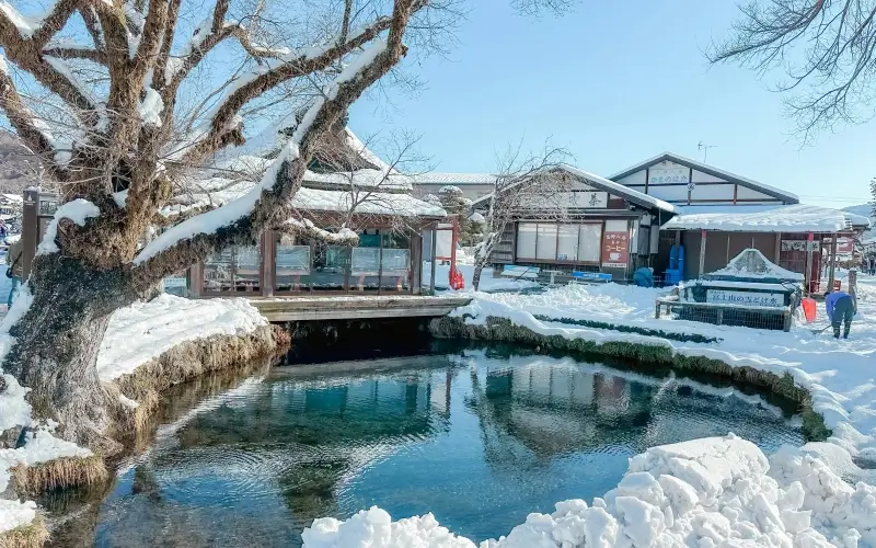 รีวิวเที่ยว หมู่บ้านน้ำใส 2026 จุดชมวิวฟูจิที่สวยที่สุด 9 หมู่บ้านน้ำใสช่วงฤดูหนาว เป็นช่วงที่หิมะปกคลุมภายในหมู่บ้าน หลังคาบ้านและบริเวณรอบบ่อน้ำ สวยงามมาก