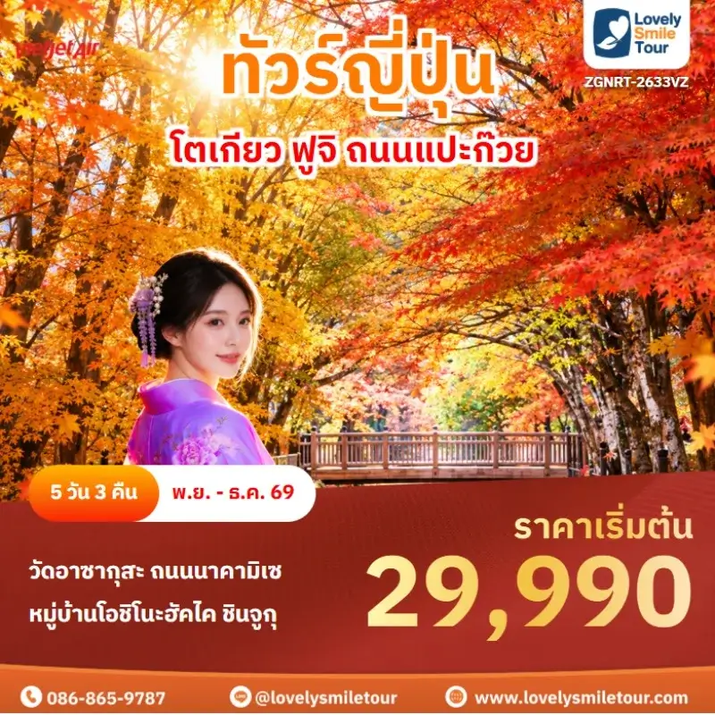 โตเกียว ฟูจิ ถนนแปะก๊วย  ZGNRT-2633VZ