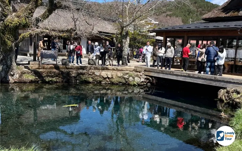 รีวิวเที่ยว หมู่บ้านน้ำใส 2026 จุดชมวิวฟูจิที่สวยที่สุด 3 บ่อวากุอิเคะ หนึ่งในบ่อน้ำยอดนิยมของนักท่องเที่ยว ซึ่งเป็นบ่อที่มีขนาดใหญ่และน้ำใสมากที่สุด