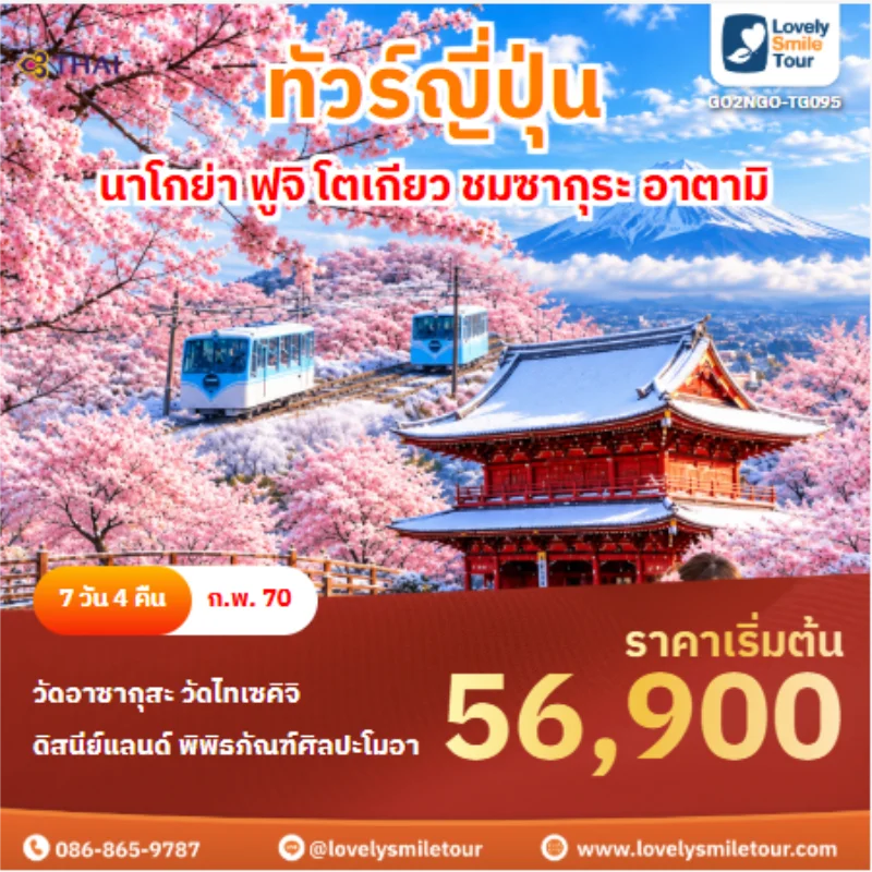รหัสทัวร์ GO2NGO-TG095 ทัวร์ญี่ปุ่น นาโกย่า ฟูจิ โตเกียว ชมซากุระ อาตามิ