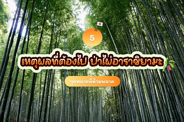 5 เหตุผลที่ต้องไป ป่าไผ่อาราชิยามะ จุดหมายที่ห้ามพลาด 1 arashiyama bamboo grove review cover