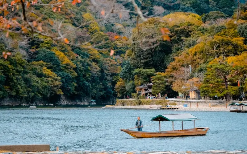 5 เหตุผลที่ต้องไป ป่าไผ่อาราชิยามะ จุดหมายที่ห้ามพลาด 9 arashiyama bmboo grove in autumn