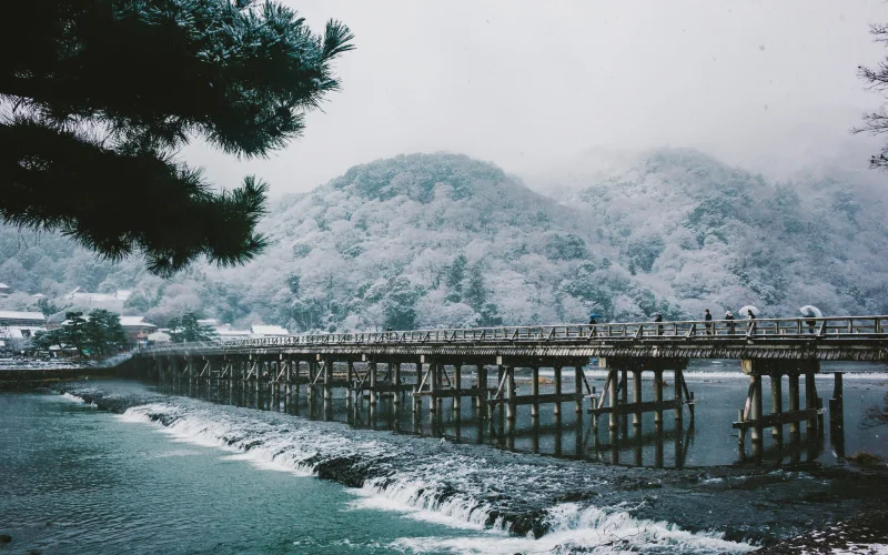 5 เหตุผลที่ต้องไป ป่าไผ่อาราชิยามะ จุดหมายที่ห้ามพลาด 10 arashiyama bmboo grove in winter
